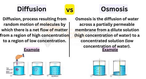 difference between diffusion and osmosis class 9|Diffusion And Osmosis .